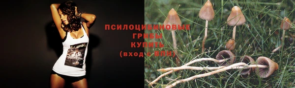 дживик Алексеевка