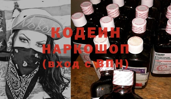 молекула духа Алзамай