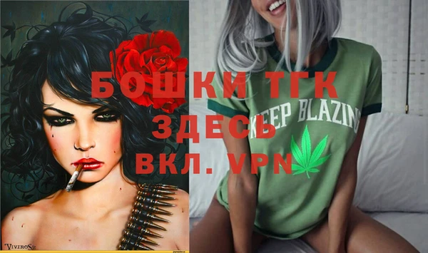 молекула духа Алзамай