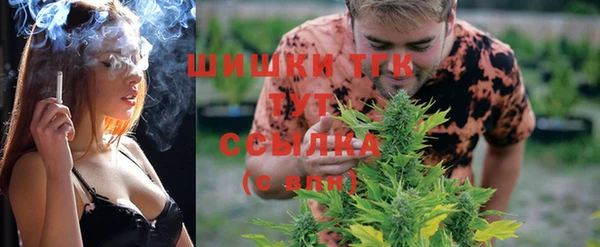 молекула духа Алзамай