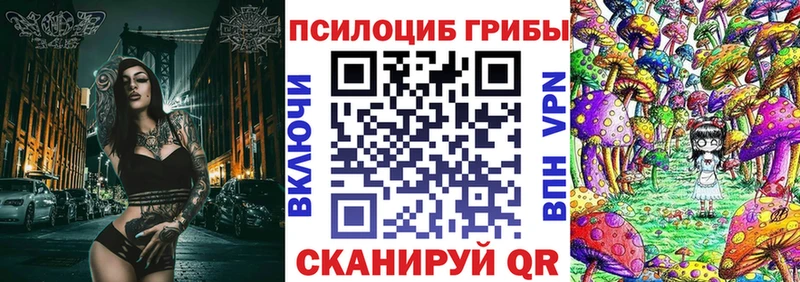 Галлюциногенные грибы Psilocybine cubensis  Сунжа 