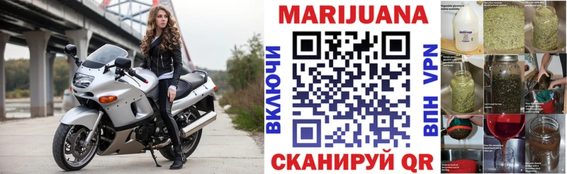 Конопля тримм  купить   Сунжа 